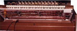 haarige.jpg (32190 Byte)